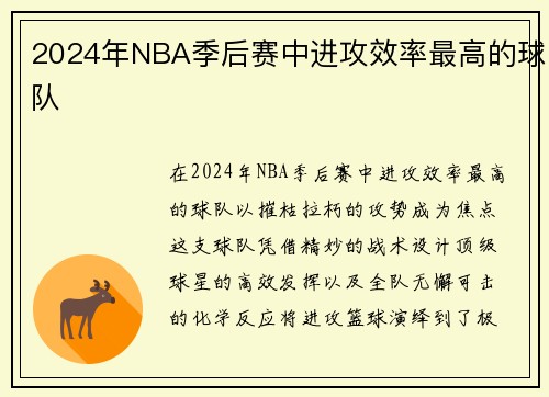 2024年NBA季后赛中进攻效率最高的球队