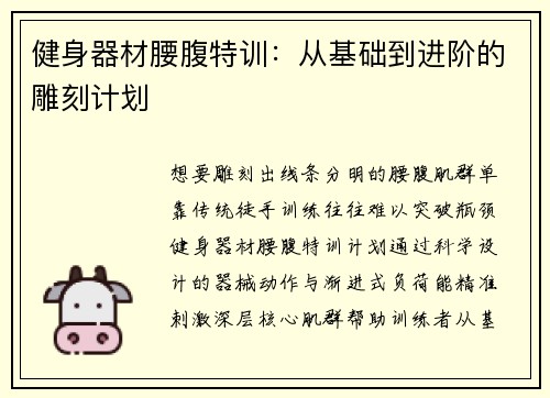 健身器材腰腹特训：从基础到进阶的雕刻计划