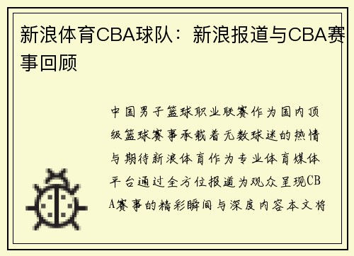 新浪体育CBA球队：新浪报道与CBA赛事回顾